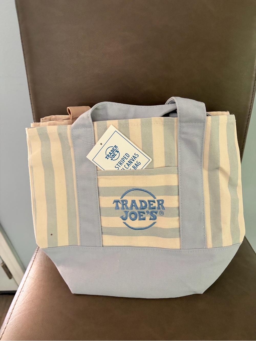 Trader Joe's Blue and Cream Striped Canvas Tote Bag